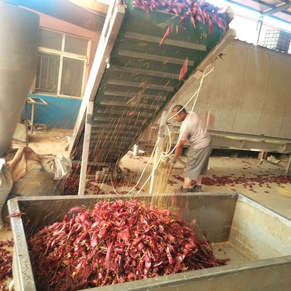 Dry Red Chilli Pepper 2021 best
