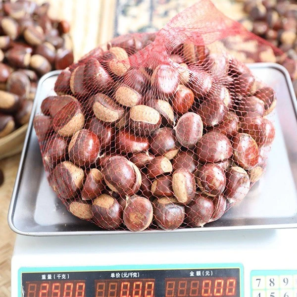 Fresh Organic Chesnut Mesh Bag high quality