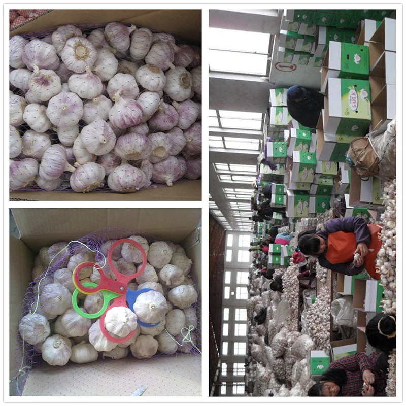 7 10kg loose carton 7 10kg loose carton